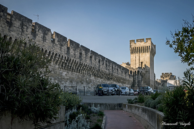 Teinansicht  der Stadtmauer von Avignon