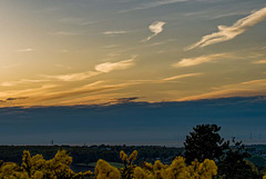 Thurstaston Common16