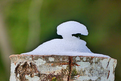 P1150720- Composition de  neige - Balade raquettes   16 janvier 2019