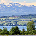Blick über den Bodensee auf die Schweizer Alpen