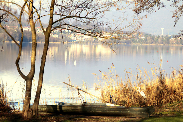 Giornata sul lago  -21