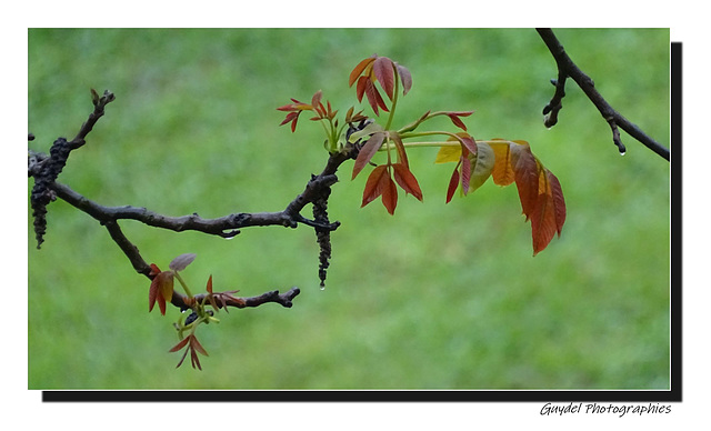 L'incroyable force de Dame Nature !