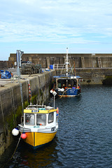 Stonehaven harbour walls - HWW!