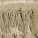 The Settlands sand trees 2