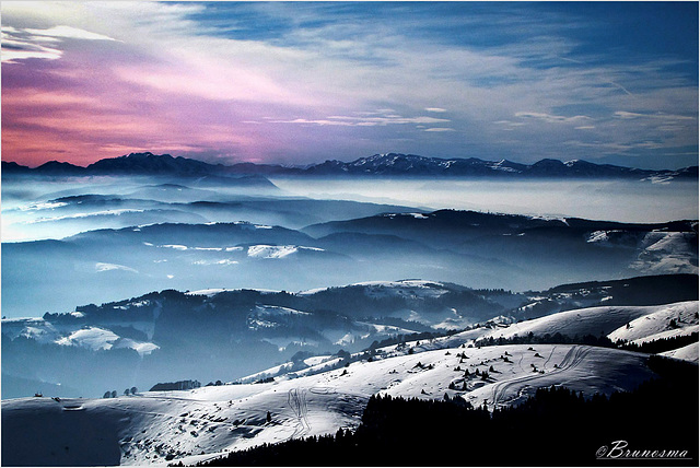 Nebbia l’incertezza che affascina.