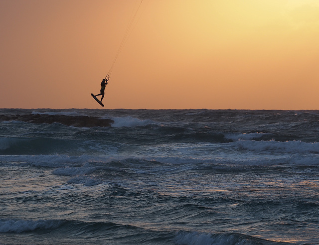 Mediterranean  Sailor