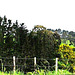 Farm fence.