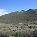 IMG 8830