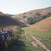 Lin Dale looking towards the Stepping Stones (Scan from August 1989)