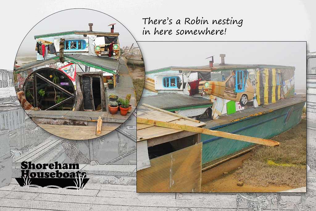 Robin's nest - Shoreham Houseboats - 9.4.2015