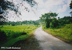 70 South Andaman Scenes