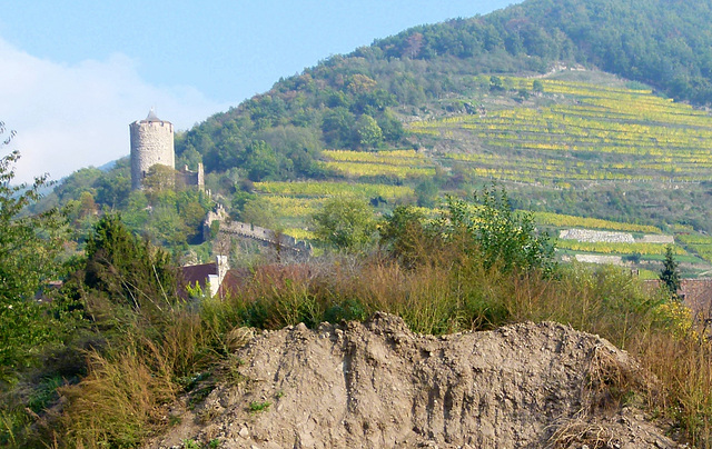 Burgruine und Stadtmauer am Weinberg