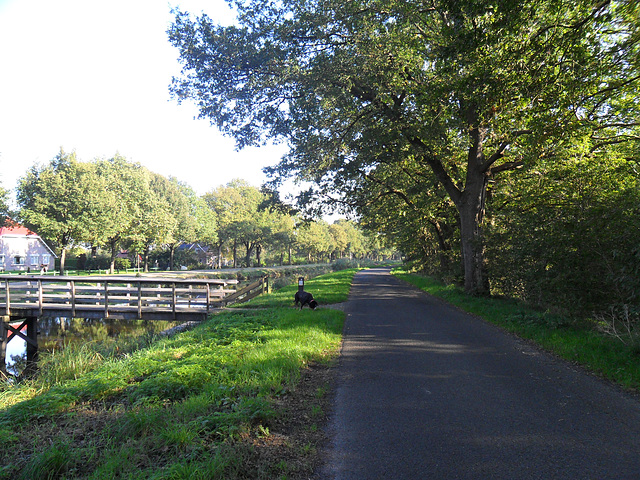 hart van drenthe