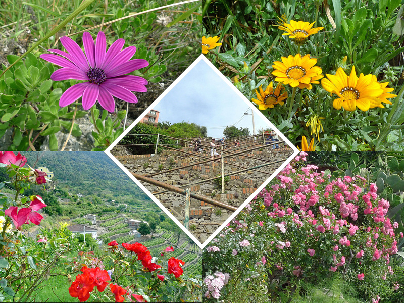 Italy - Corniglia, Scalinata Lardarina