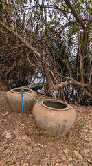 Deux jarres / Two jugs
