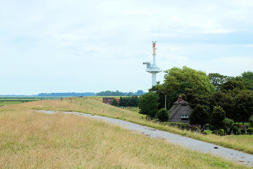 244-P1030325-PiP zu 238