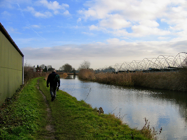 Coventry Canal with tubular steel poly-tunnels on the right