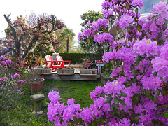 Blick in Nachbar's Garten