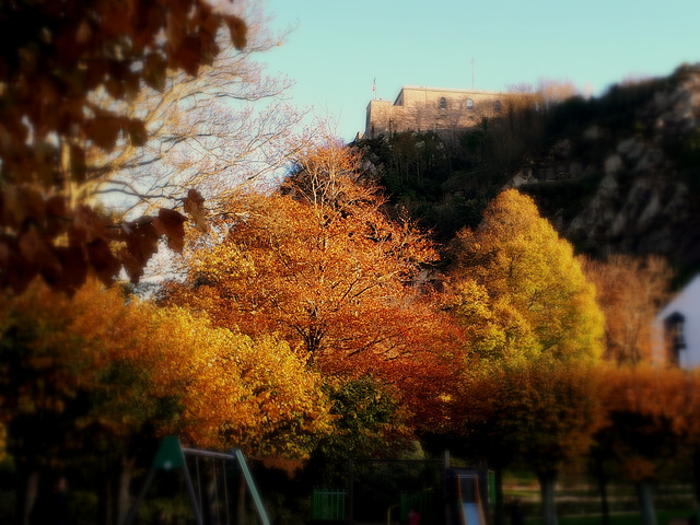 HFF / Bon vendredi à tous !