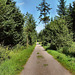 Waldweg (Dorsten) / 20.07.2024