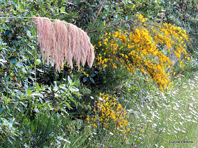 Forest Florals.