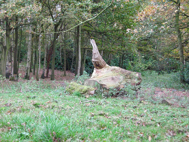 Seat for dinner inside Braken Hurst wood, just after turning left from the end of Coppice Bank