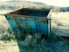 Dumpster in a field
