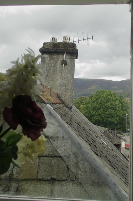 Obscured window view