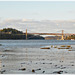 Vue depuis la Ville Ger vers la Rance et le Pont Saint Hubert (22)