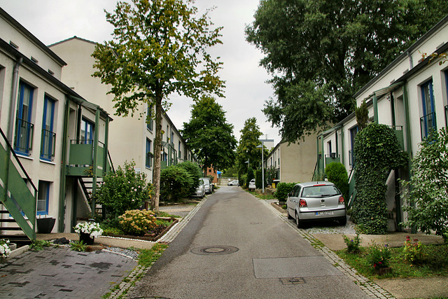 Zum Rungenberg (Siedlung Schüngelberg, Gelsenkirchen-Buer) / 18.08.2019