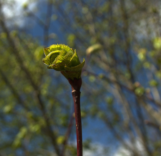 More Of The Tenderness Of New