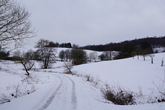 Last Days of Winter IV