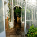 Victorian greenhouse