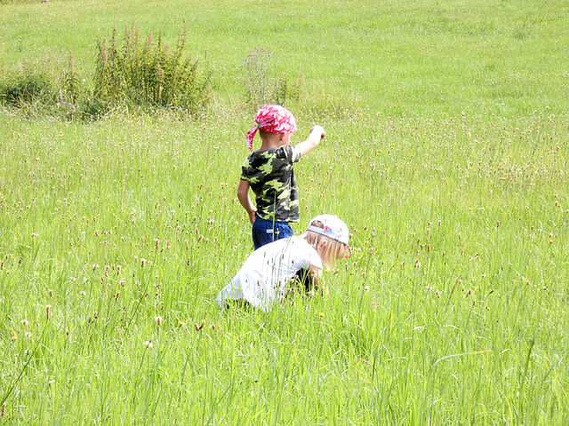 Natur und Kinder