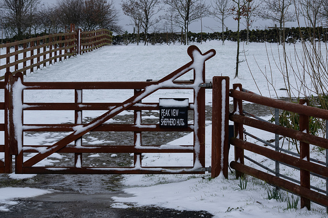 Snowy Gate