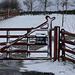 Snowy Gate