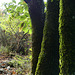 20241013 Rando Col de Bes (Cévennes) (12)