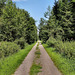 Weg im Lembecker Wald (Dorsten) / 20.07.2024