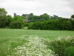 Church of St.Botolph at Sibson from near Eightlands Farm