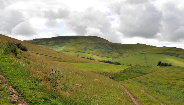 Scotland St. Cuthbert's Way