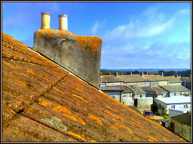 A view from my bedroom window