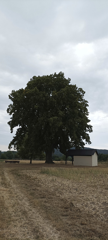 Feldkapelle in Ebing