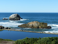 Seal Rocks (2) - 16 April 2016