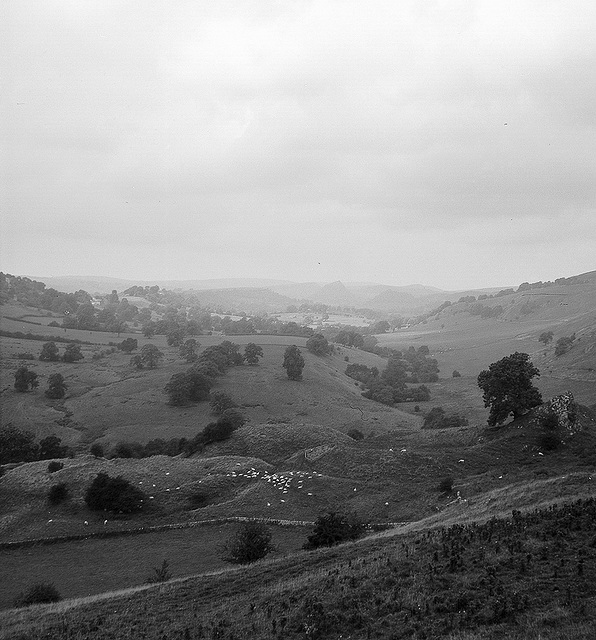 Pilsbury Castle (Derbyshire, Nettar 12)