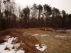 The barn site