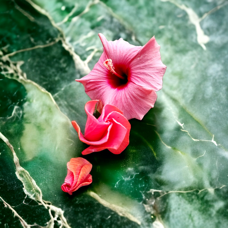 still life with blossoms