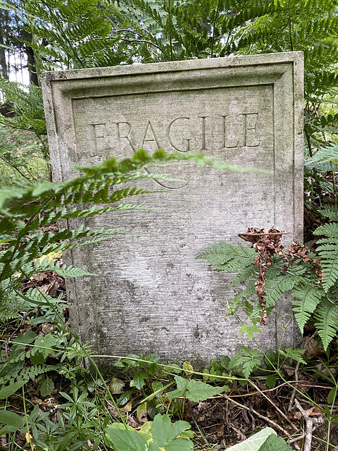 Fragile