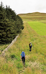 Scotland St. Cuthbert's Way (PiP)