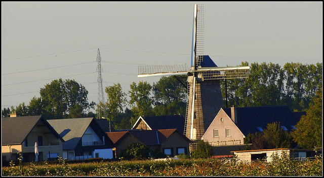 Belgian mill