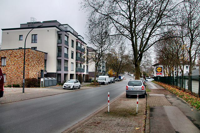 Kuithanstraße (Dortmund-Innenstadt-West) / 3.12.2022